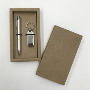 Kit Caneta & Pendrive - PENKIT01