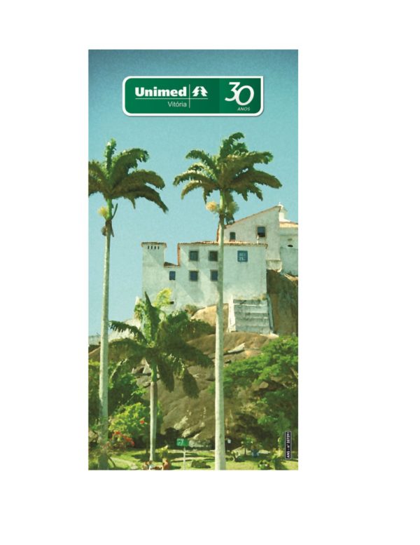 Toalha de Praia 100% Algodão - TPRAIA - Imagem 2