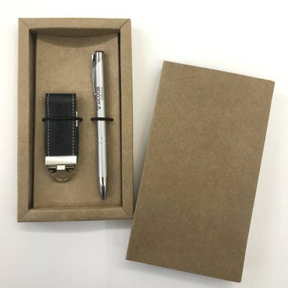 Kit Caneta & Pendrive - PENKIT10