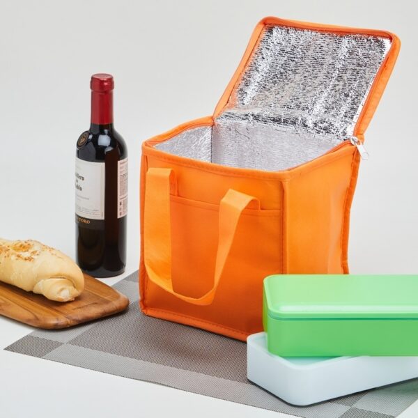 Bolsa Térmica 5 Litros - PR2099 - Imagem 2