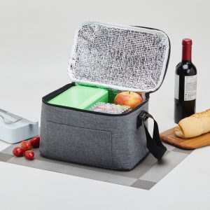 Bolsa Térmica 6 Litros - PR2798