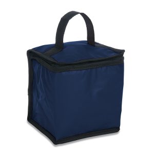 Bolsa Térmica 4L - PR 14310