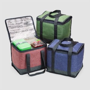 Bolsa Térmica 15L - PR 02596