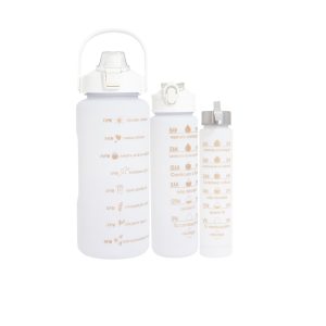 Kit 3 Garrafas - PR P@03036